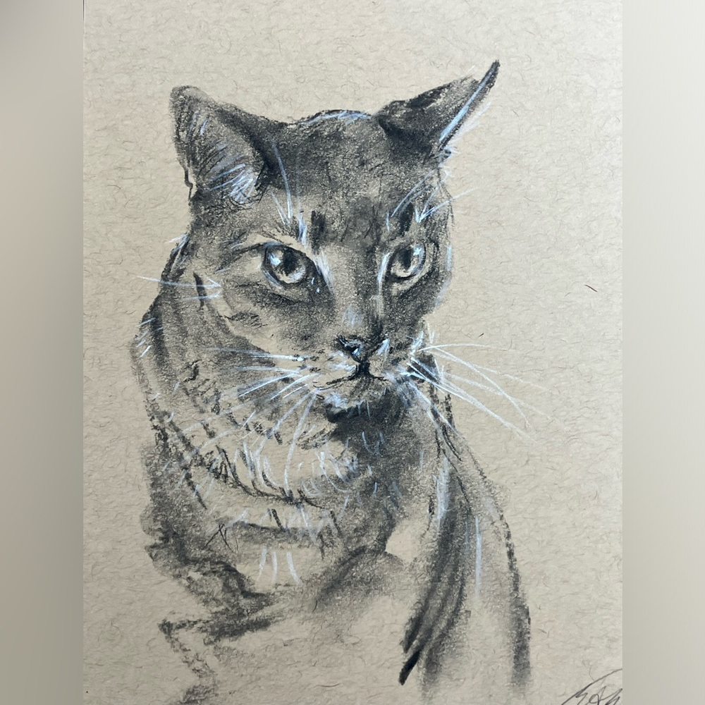 Original Cat portrait pastel charcoal painting art handmade home decor artwork